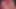 Pink Haired Girl Deep Sucking Dick and had Anal Sex until Cum Inside